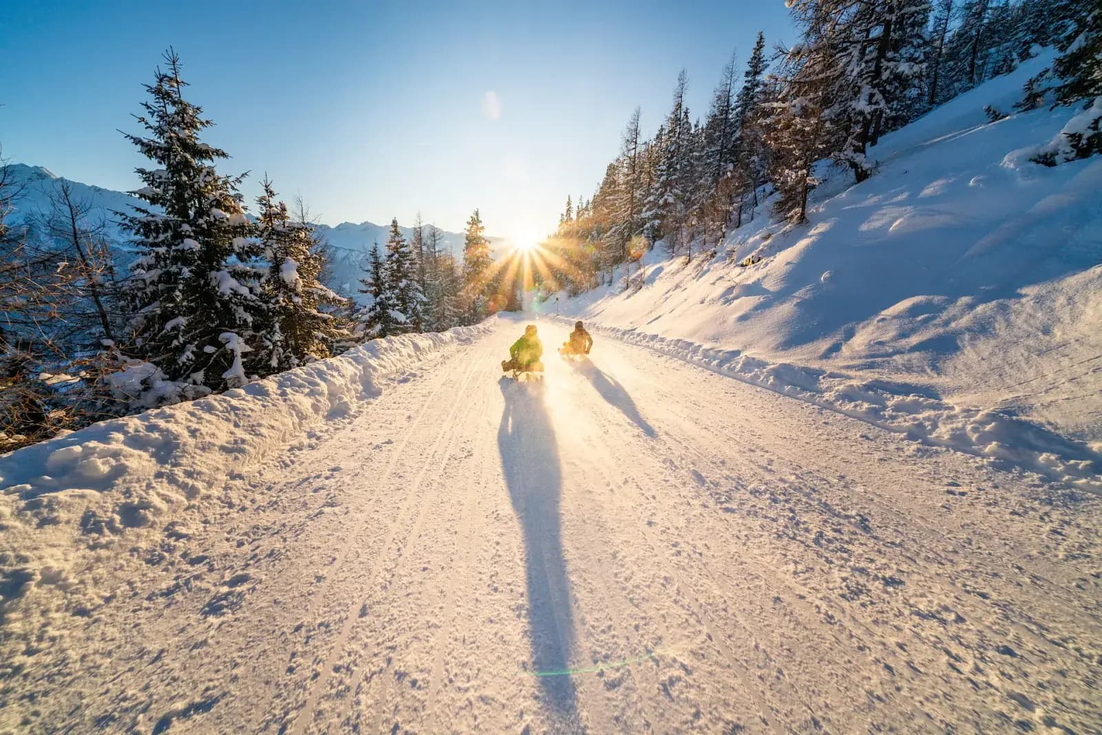 Wildkogel — Winterwald